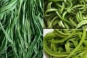 Bật mí loại rau đắt hơn thịt, bổ ngang nhân sâm, Việt Nam có nhiều nhưng ít người biết để ăn