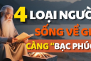 Có 4 kiểu người càng sống càng Bạc Phúc: Trẻ thì đau ốm hao tài, già thì cô đơn, đó là kiểu người nào?