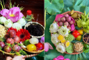 Tết Đoan Ngọ: Đặt 5 loại hoa, 6 loại quả này lên bàn thờ, lộc tràn vào nhà, gia đạo hưng thịnh