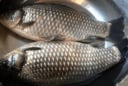 Thịt lợn không mua thịt cổ, cá không mua cá diếc: vì sao các cụ lại dạy như vậy?