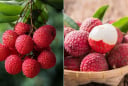 Lưu ý khi ăn vải để không bị nóng trong