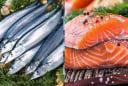 Loại cá là 'vua omega-3', cá hồi chỉ đứng hạng 2: Bán đầy chợ Việt giá cực rẻ