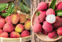 Quả vải ngon ngọt nhưng 5 nhóm người này không nên ăn