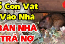 5 con vật này vào nhà Chặn Cửa Tài Lộc mang theo xui xẻo: Đặc biệt loại thứ 2 đuổi ngay kẻo khánh kiệt