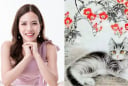 Con giáp nữ sinh giờ đẹp: Hậu vận viên mãn, an yên bên người thương