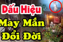 Tổ tiên báo mộng: Nhà có 4 thứ này gia chủ sắp Trúng Số đổi đời, tiền vào như nước