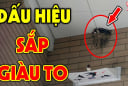 Tổ Tiên nói: 'Mở cửa thấy ngay 3 thứ là Điềm Lành, con cháu đời đời giàu có', đó là gì?