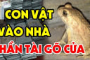 4 con vật Đệ Tử Thần Tài, vào nhà nào nhà đấy Tiền Tài nảy số