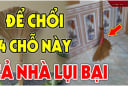Cứ tiện tay đặt chổi 4 vị trí này: Cả người và của đều lao đao