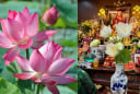 Thắp hương Hoa sen, chú ý 4 điều này tránh gây Sát khí, tổn hao Phúc Lộc, giữ trang nghiêm thờ cúng