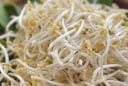 4 loại rau bổ hơn thịt, rẻ hơn thuốc, quý như nhân sâm – nhiều người bỏ qua mà không biết