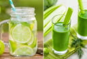 Uống gì để thải sỏi thận: 4 loại đồ uống tốt cho người bị sỏi thận