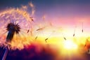 Người xưa dạy: Tha thứ không phải vì người mà vì chính bản thân mình, vì sao?