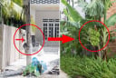 Nhà nghèo đừng chặt bỏ 3 cây, con cháu no đủ 3 đời, là cây gì?