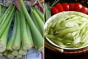 Ngâm dọc mùng trong loại nước này, ăn không bị ngứa, nấu chín vẫn giòn ngon