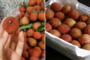 Bảo quản vải thiều theo cách này, để cả năm vẫn tươi ngon, không bị thâm vỏ