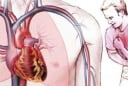 Vì sao tim ít khi bị ung thư? Lý do ít ai ngờ đằng sau sự “miễn nhiễm” đặc biệt của trái tim