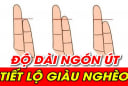 Xem độ dài ngón út, biết ngay ai nghèo hèn mạt kiếp, ai sinh ra 'ngậm thìa vàng'