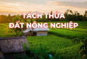 Kể từ bây giờ: Người dân muốn tách thửa đất nông nghiệp cần lưu ý điều này