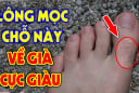 4 vị trí mọc lông Trời Cho Lộc Lớn, mở cửa đón Tiền Tài