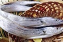 Đi chợ gặp 5 loại cá này đừng tiếc tiền mua, vừa ngon vừa bổ lại đánh bắt tự nhiên 100%
