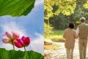 4 con giáp hạnh phúc nhất khi về già: Vạn sự như ý, khỏe mạnh sống lâu, tiền vàng đầy két