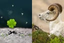 4 con giáp giàu sụ cuối 2025: Tháng 7 thần tài gõ cửa, tháng 8 tình yêu nở rộ, tháng 9 tiền đầy ví