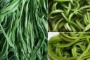 Bất ngờ với loại rau Việt đắt hơn cả thịt, bổ ngang nhân sâm nhưng ít ai biết ăn đúng cách