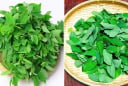 Tại sao khi nấu rau ngót, phải vò lá rau trước khi nấu?