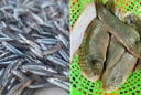 5 loại cá tự nhiên thịt ngon, giá rẻ, không thể nuôi nhân tạo, đi chợ gặp được phải mua ngay