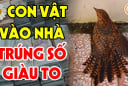 5 con vật Đệ Tử Thần Tài, đến nhà là Trúng Số giàu to
