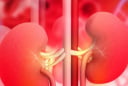 Gia tăng Suy Thận ở Người trẻ, một thói quen cực hại thận mà nhiều người đang mắc