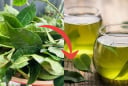 Mẹo pha trà tươi: Nước xanh, không chát, để lâu không bị đỏ nước