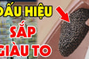 5 con vật vào nhà Điềm Lành Trúng Số: Gia chủ sắp giàu to