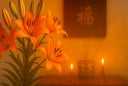 4 loại hoa đại kỵ đặt trên bàn thờ ngày Rằm, mồng Một: Đẹp đến mấy cũng rước xui xẻo, mất lộc