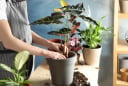 5 thứ phá tan Đại Vận, giữ cố trong nhà vợ chồng tối ngày cãi vã