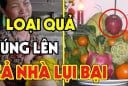 5 loại quả ngon, ngọt, đẹp mắt nhưng người xưa rất kị thắp hương, là quả gì?