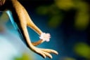 Con đường duy nhất để cải biến vận mệnh là hành thiện tích đức, cải biến nhân tâm
