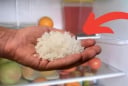 Đặt 1 nắm muối vào tủ lạnh: Công dụng 'vàng' nhà nào cũng rất cần