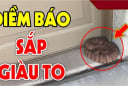 3 con vật này vào nhà ai cũng sợ: Điềm báo Trúng Số Phát Tài, đừng dại đuổi đi