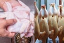 Nhiều người đang rửa thịt gà theo cách này, một sai lầm tai hại mà ít người chú ý