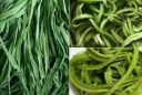 Loại rau Việt đắt hơn thịt, bổ ngang nhân sâm: nhiều nhưng ít ai biết ăn đúng cách