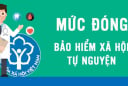 Mức hỗ trợ đóng bảo hiểm xã hội tự nguyện từ tháng 7/2025 là bao nhiêu?