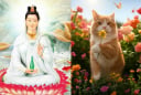 Hoa Rơi Cửa Phật: 3 tuổi Quan Thế Âm Độ Mạng, tháng 7 Trúng Số, tháng 8 Tiền Về Như Nước