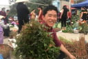 Loại rau ăn ngon bổ dưỡng này ở miền núi phía Bắc, xưa mọc dại không ai hái, nay tranh nhau