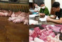 Phát hiện đường dây chuyên mổ cung cấp thịt lợn bệnh cho chợ, nhà hàng, quán ăn