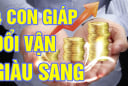 Tháng 6 Nhuận thuận nước đẩy thuyền: 4 tuổi Tiền - Tình mỹ mãn