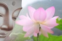 Phật dạy, gia đình chỉ cần có thứ này sẽ ngày càng thịnh vượng, phúc khí tràn trề