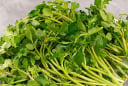 Loại rau rẻ ở chợ Việt được Mỹ công nhận 'nữ hoàng rau xanh', giàu canxi hơn sữa, trồng 1 lần ăn quanh năm