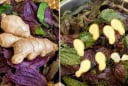 Uống nước lá tía tô nấu với gừng tốt hơn vạn thuốc bổ, cơ thể nhận được lợi ích tuyệt vời này